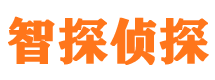 城固市侦探公司